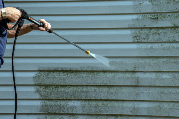 Best Pressure Washing Near Me  in Barnum Island, NY